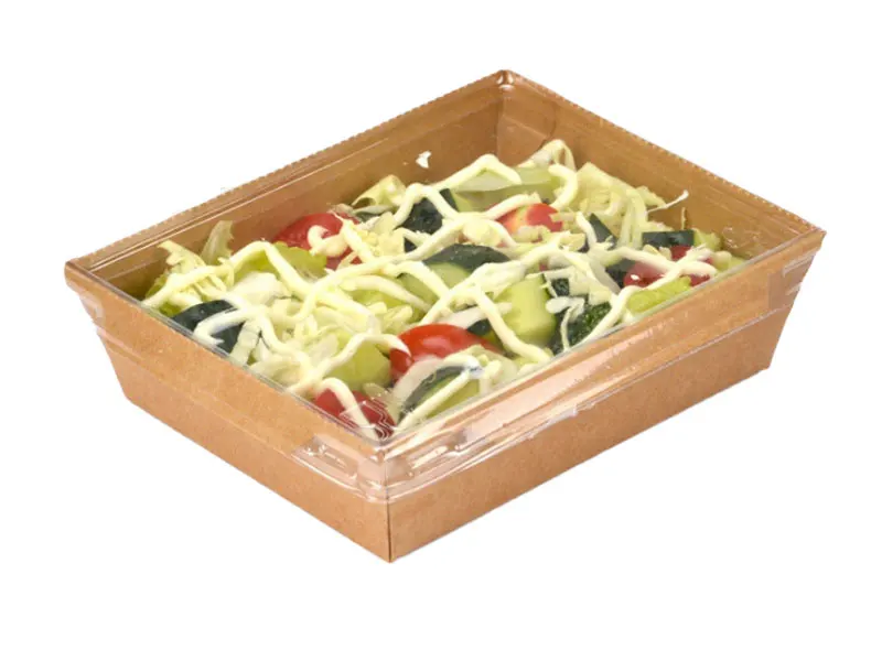 Custom Salad Boxes, Wholesale Salad Packaging